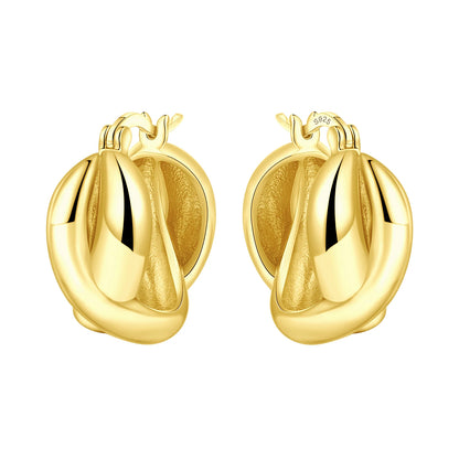 S925 Sterling Silver 18K Gold-Lined Zircon Hoop Earrings for Women