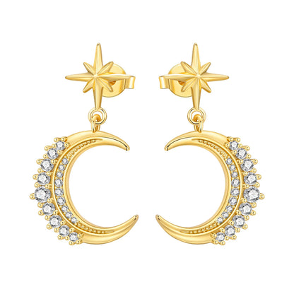 S925 Sterling Silver 18K Gold-Lined Zircon Hoop Earrings for Women