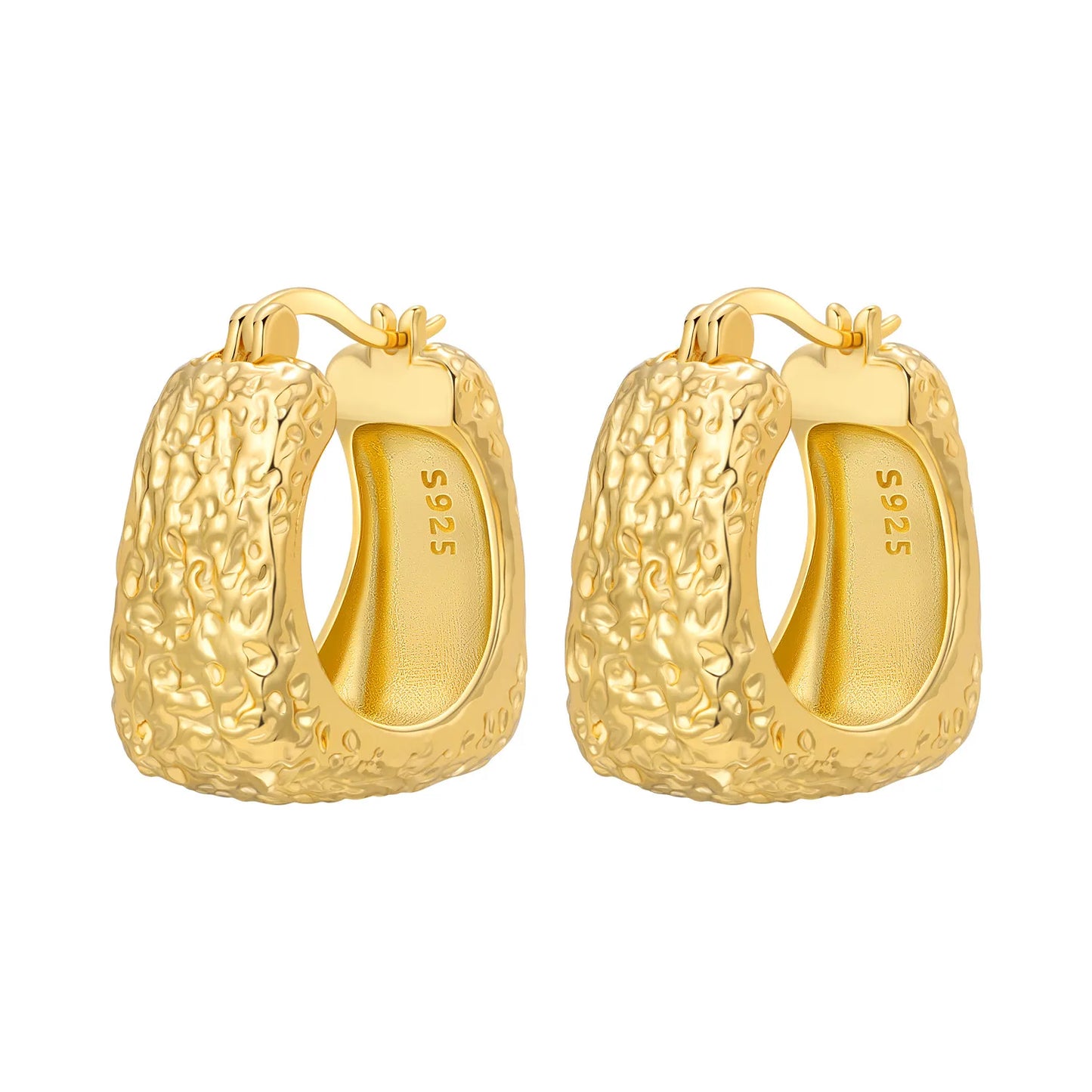S925 Sterling Silver 18K Gold-Lined Zircon Hoop Earrings for Women