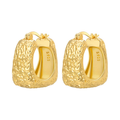 S925 Sterling Silver 18K Gold-Lined Zircon Hoop Earrings for Women
