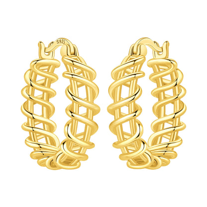 S925 Sterling Silver 18K Gold-Lined Zircon Hoop Earrings for Women