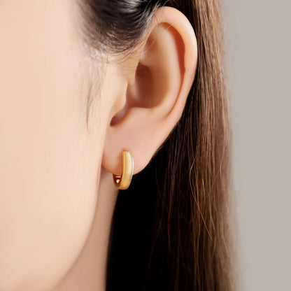S925 Sterling Silver 18K Gold-Lined Zircon Hoop Earrings for Women