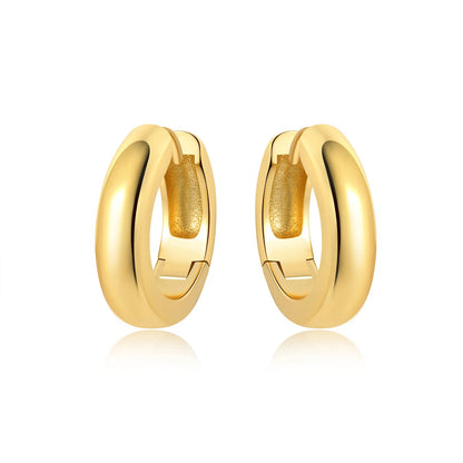 S925 Sterling Silver 18K Gold-Lined Zircon Hoop Earrings for Women