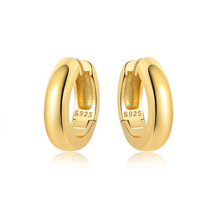 S925 Sterling Silver 18K Gold-Lined Zircon Hoop Earrings for Women